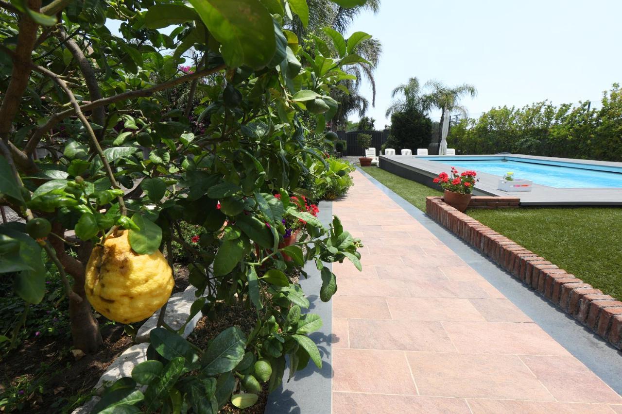 Casa Delle Foglie Vila San Giovanni La Punta Exterior foto