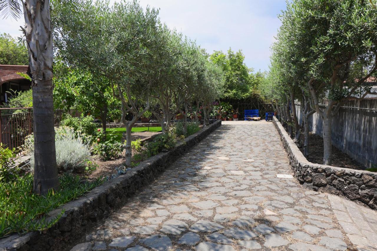 Casa Delle Foglie Vila San Giovanni La Punta Exterior foto
